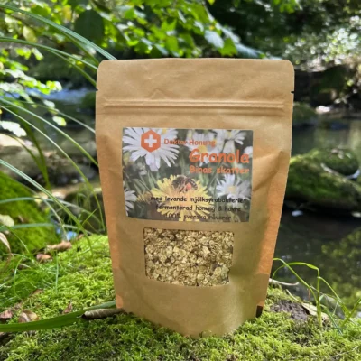 Granola - binas skatter